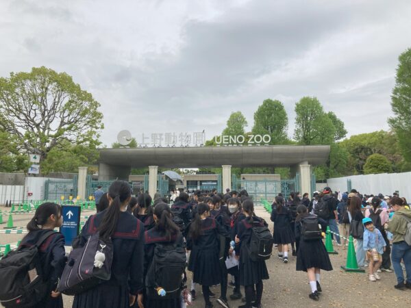 中1　上野動物園