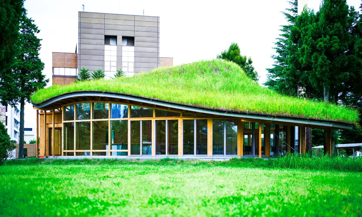 工学部の建物