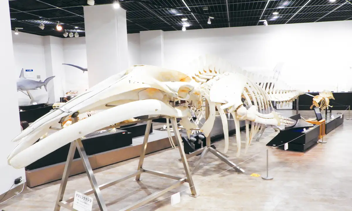 生物資源科学部の建物