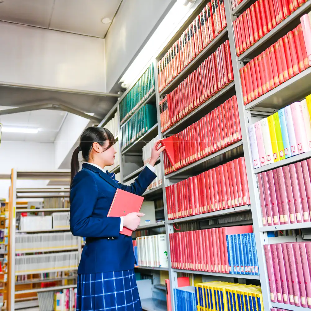 3年間の流れイメージ画像