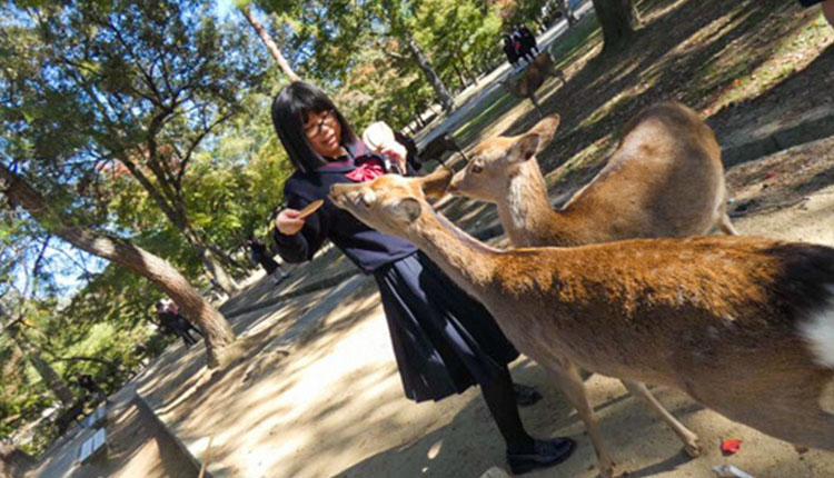 中学_2019年修学旅行