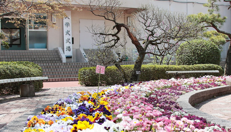 中学高校_2019年入学式