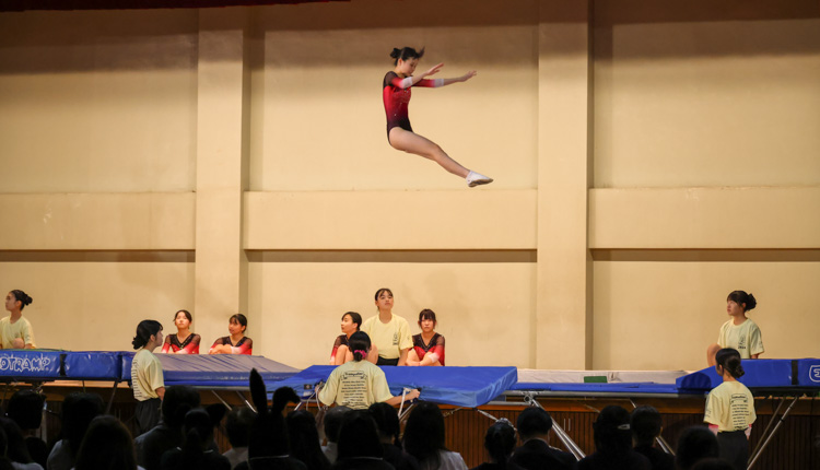 中学高校_2024年秋桜祭