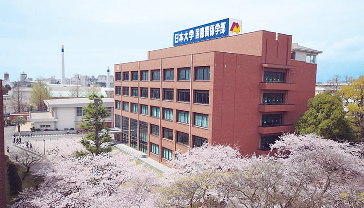 国際関係学部