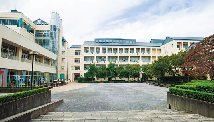薬学部